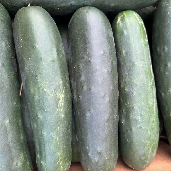 Cucumbers